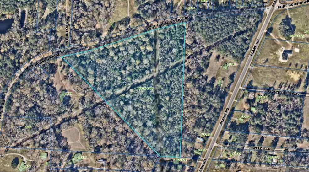 TBD Port Hudson-Pride Rd, Zachary, LA 70791 - photo 1