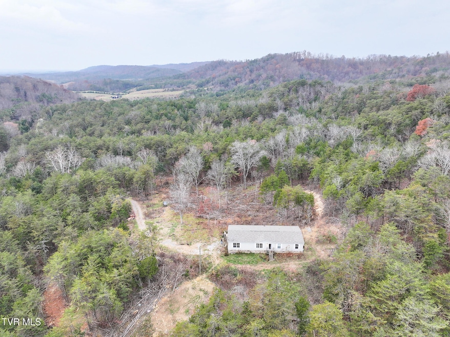 750 Tom White Hollow Rd, Mohawk, TN 37810 - photo 1