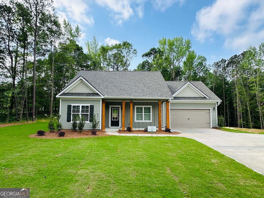 25 Patterson Dr, Franklin, GA 30217 - photo 1