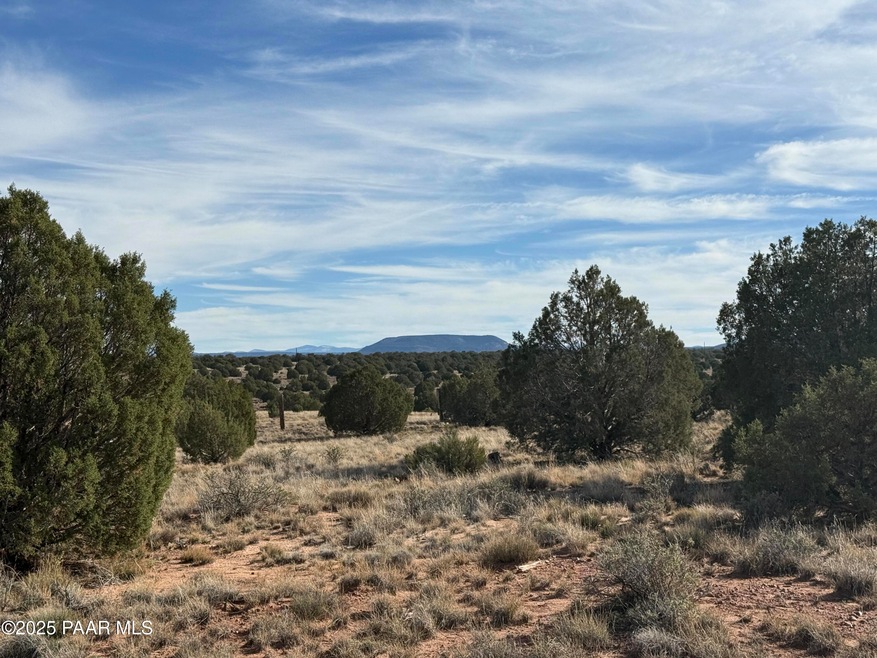 Lot 4 Ranch of the White Mountains, Concho, AZ 85924 - photo 1