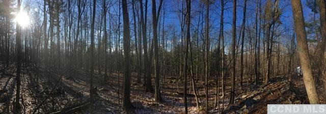 Sold $50,000 • Co-Listing Agent