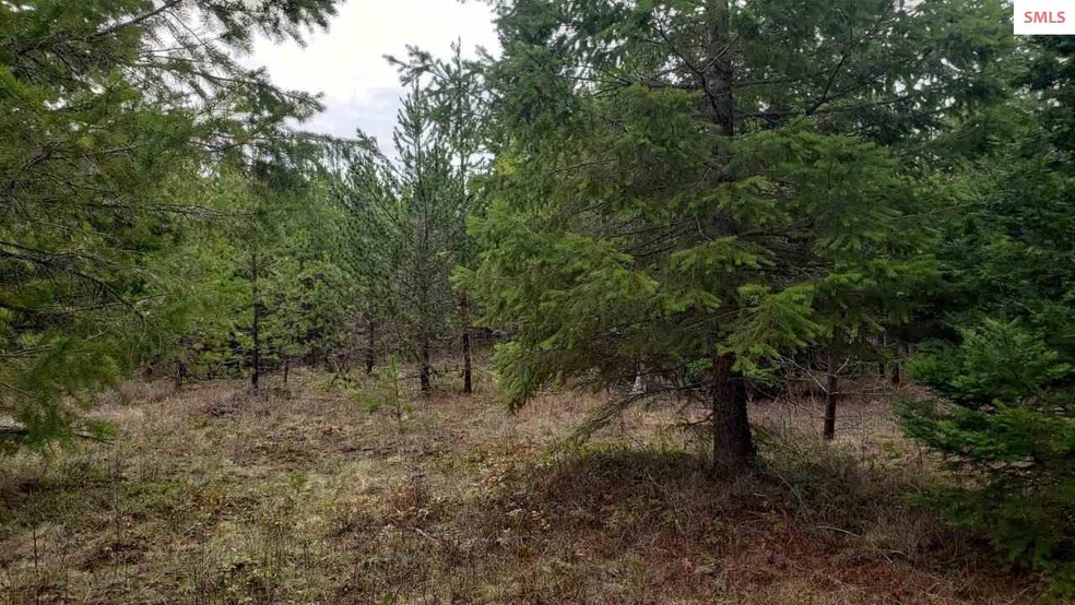 NKA Honeysuckle Rd, Athol, ID 83801 - photo 1