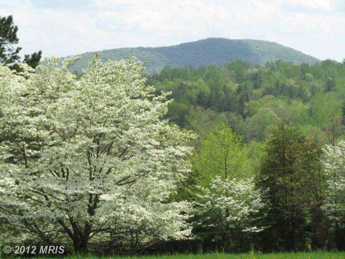 28 Harry Settle Rd, Castleton, VA 22716 - photo 1