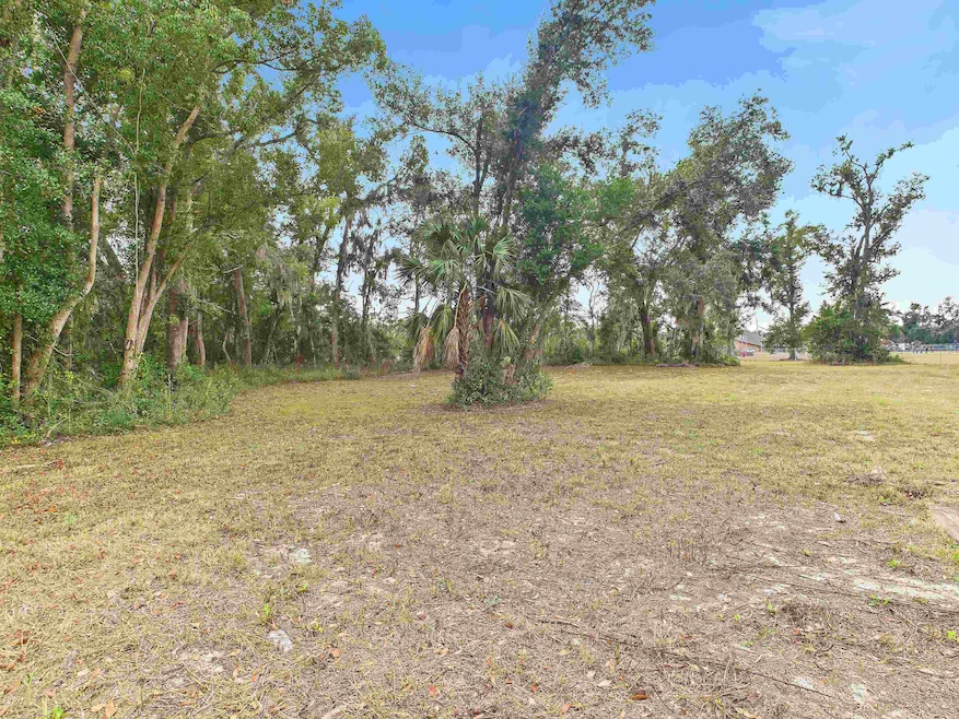 Vacant Marshall Dr, Perry, FL 32347 - photo 1