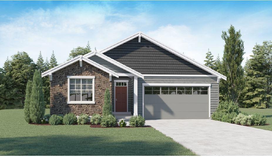 Evergreen C Rendering