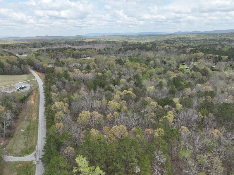 0 Berney Station Rd unit 23115946, Talladega, AL 35160 - photo 1