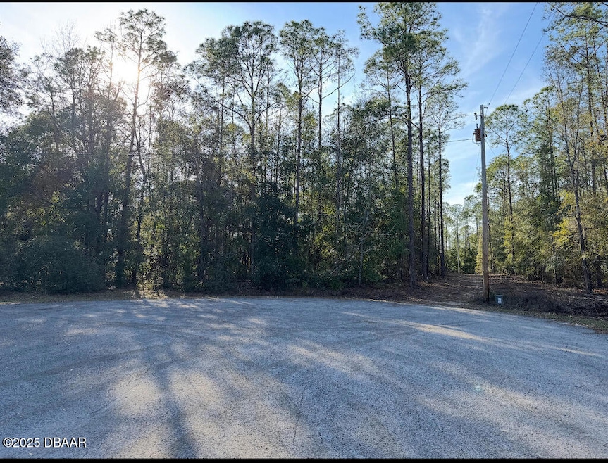 Front of Lot