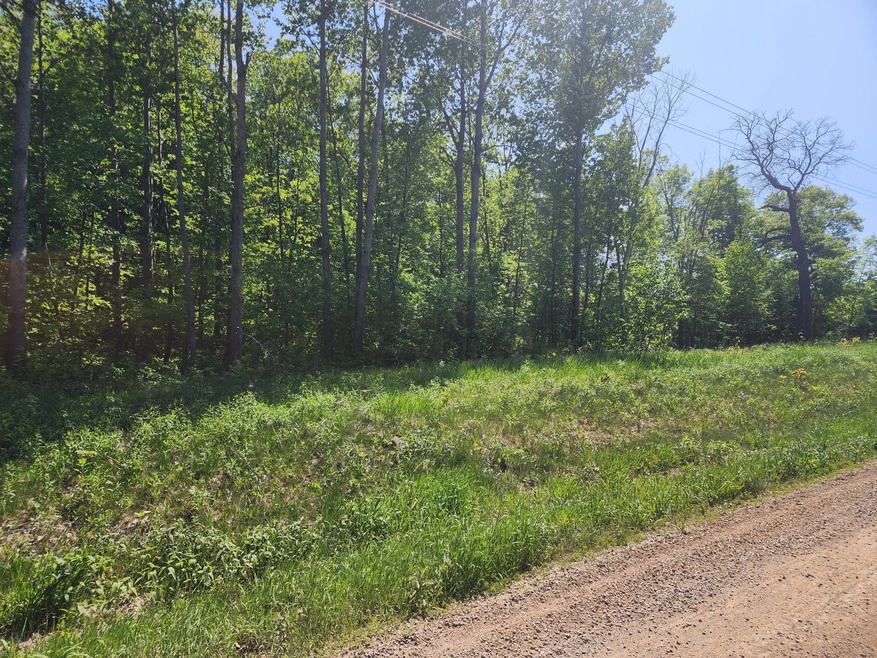 20849 Fitz Rd, Burnhamville Township, MN 56318 - photo 1