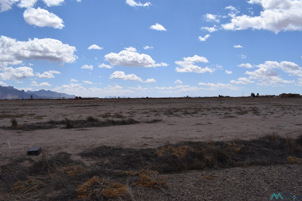 XXXX Angus Rd Se Block 4 Lot 6, Deming, NM 88030 - photo 1