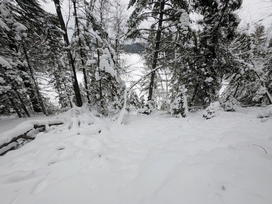 off Wooded Ln, Conover, WI 54519 - photo 1