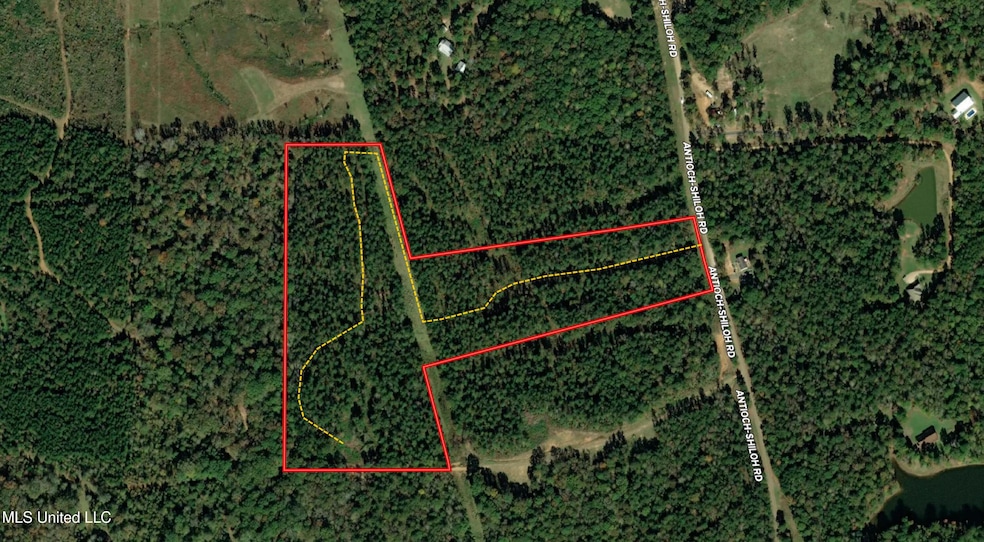 0 Antioch Shiloh Rd, Pelahatchie, MS 39145 - photo 1