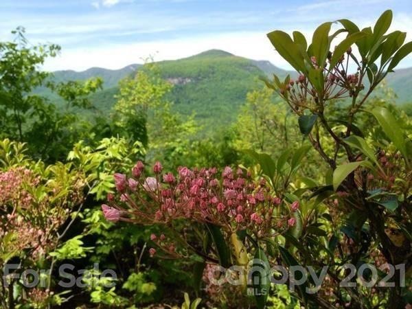 Westward view towards Bald Mountain