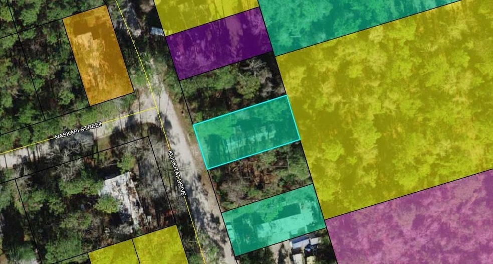 95 Klickitat Dr, Crawfordville, FL 32327 - photo 1