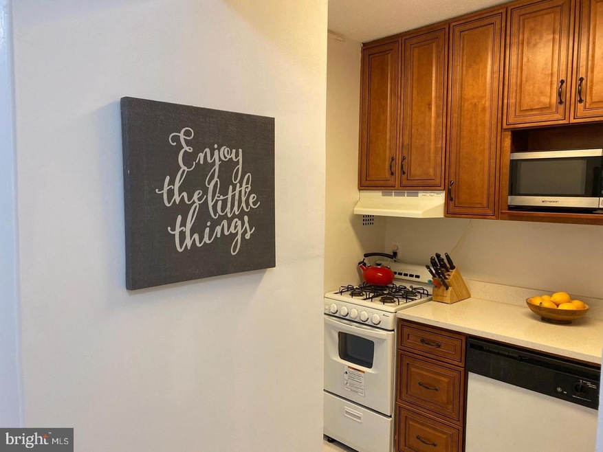 The Riviera unit 820, Bethesda, MD 20815 - photo 1