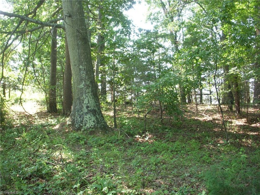 Area you will see when you walk up onto the proprty