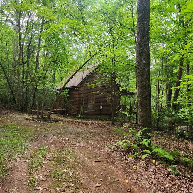 Main View