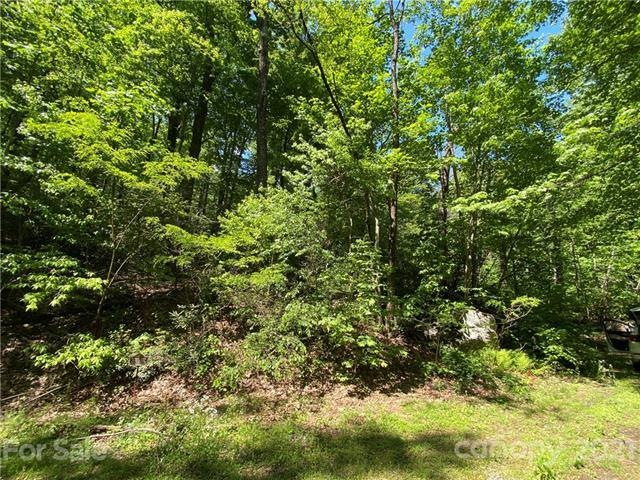 731 Quail Ridge Road Lake Lure. This property adjo