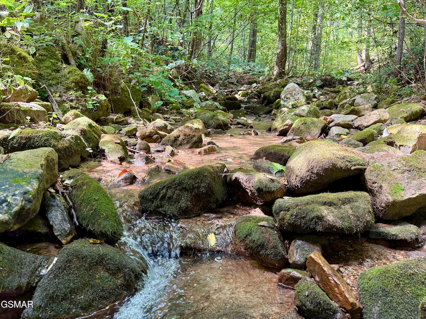 Lot 154 Summit Trails Dr, Sevierville, TN 37862 - photo 1