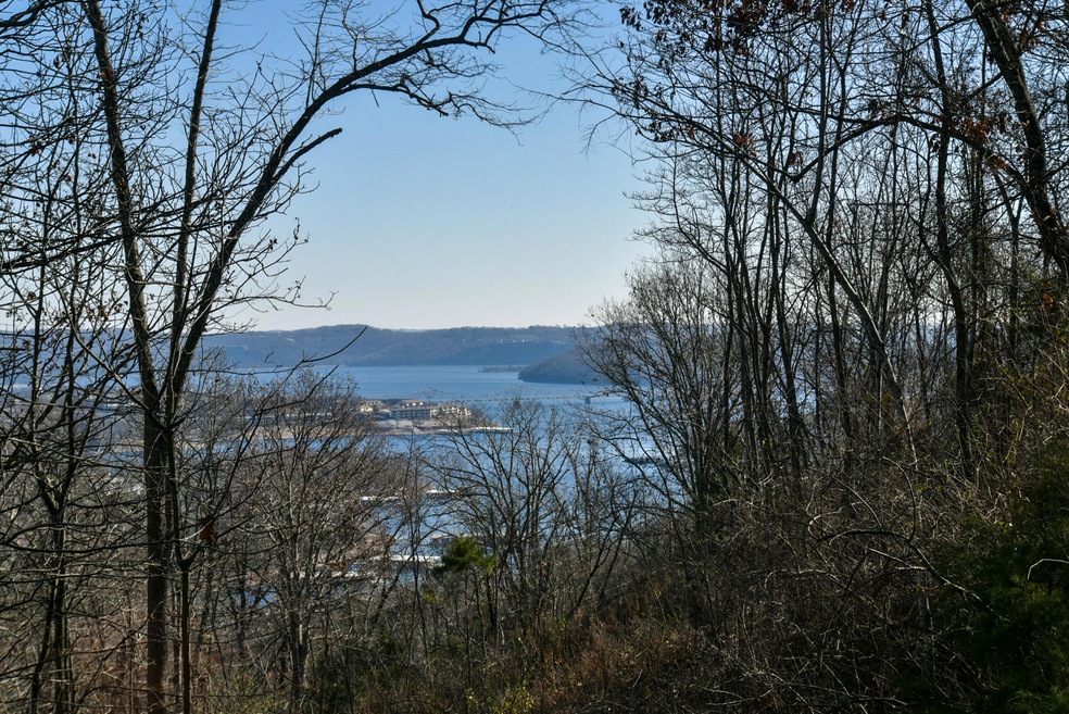 307 Johnson Way Ln, Kimberling City, MO 65686 - photo 1