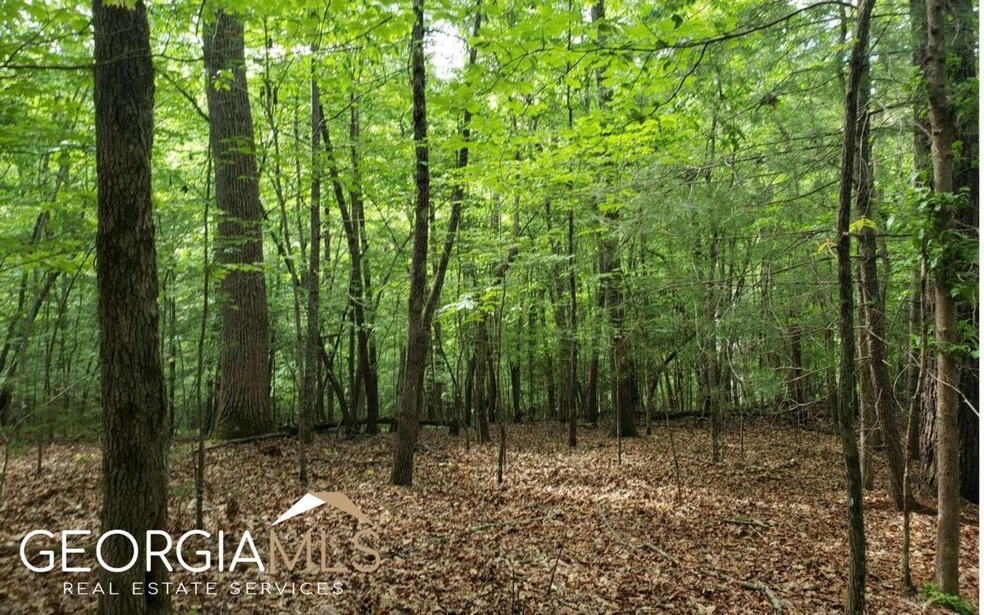 0 Lemmon Ln unit 10161174, Ellijay, GA 30540 - photo 1