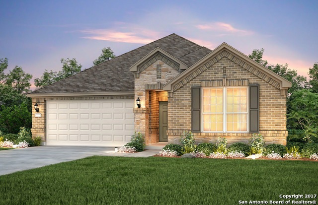 10616 Hibiscus Cove, Helotes, TX 78023 - photo 1