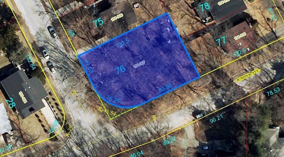 701 N Randolph St, Gary, IN 46403 - photo 1