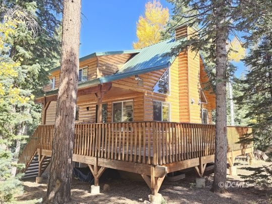 Deck Surrounded By Pine Trees