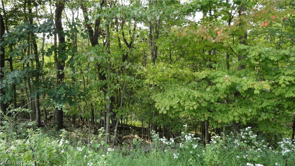 TBD Bryden Rd, Clay, WV 26062 - photo 1