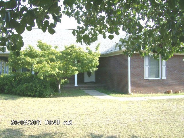 Main View