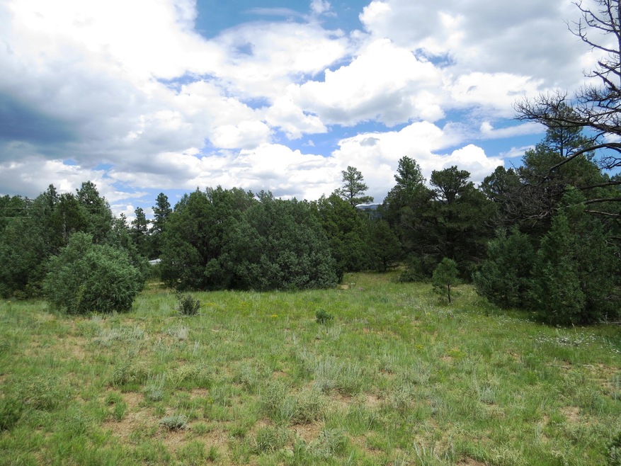 meadow1