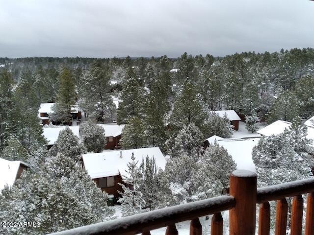 WINTER STORM