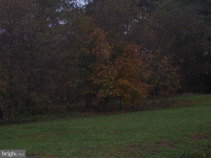 0 0 Becky Webb, Old Fields, WV 26845 - photo 1