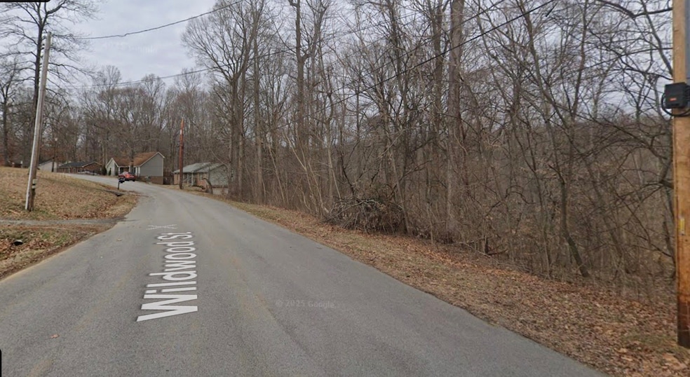 Sold $75,000 • Co-Listing Agent