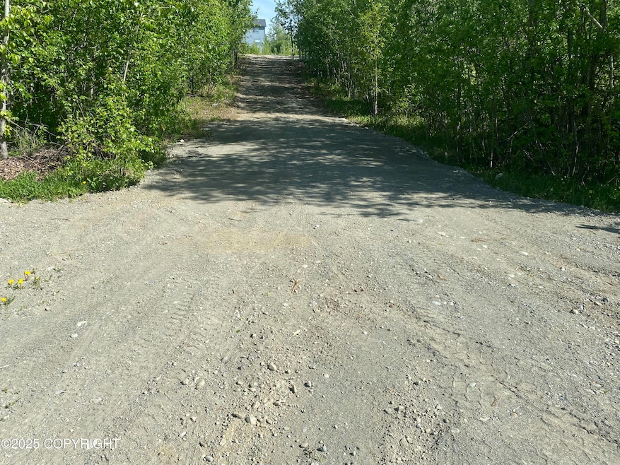 Lot 3 Sam Snead Loop Driveway