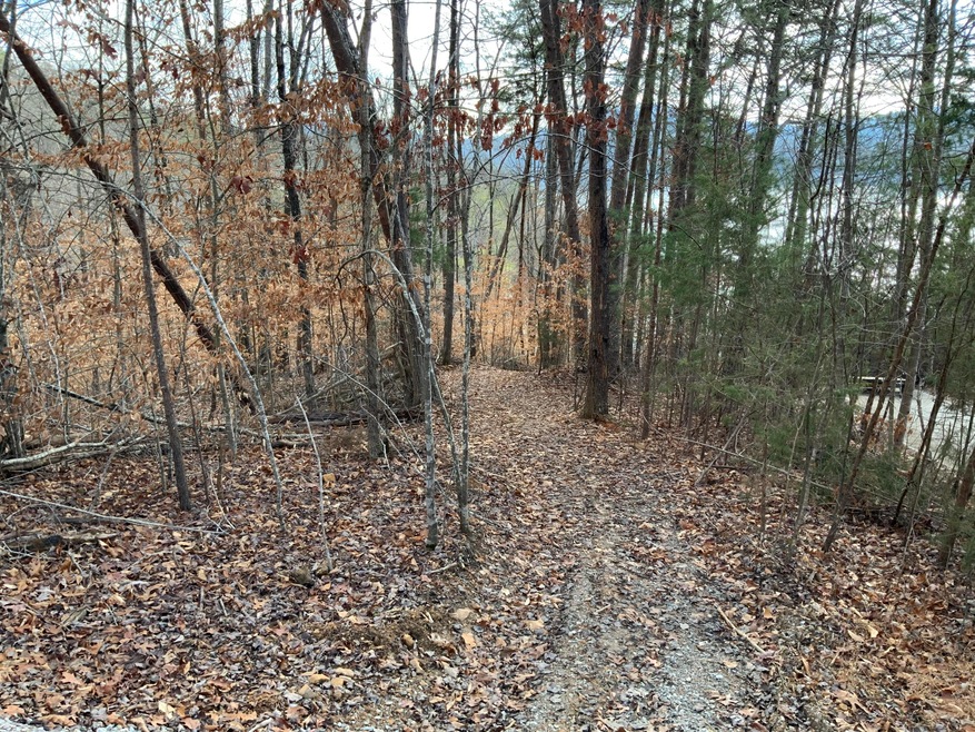 Going down the driveway