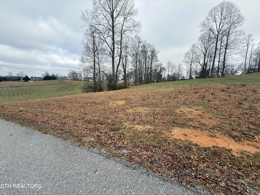 Lot #28 Oak Point Dr, Jonesville, VA 24263 - photo 1