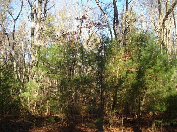 3 Pine St, Middleboro, MA 02346 - photo 1