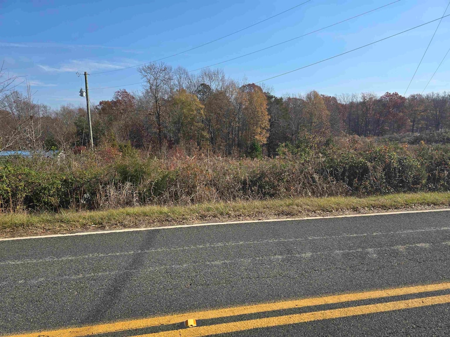 Tract 4 Green River Rd, Gaffney, SC 29341 - photo 1