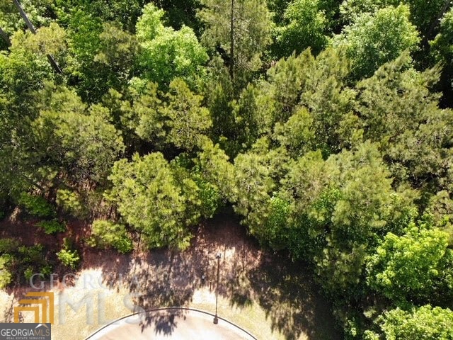 7444 Waterview Cove, Douglasville, GA 30135 - photo 1