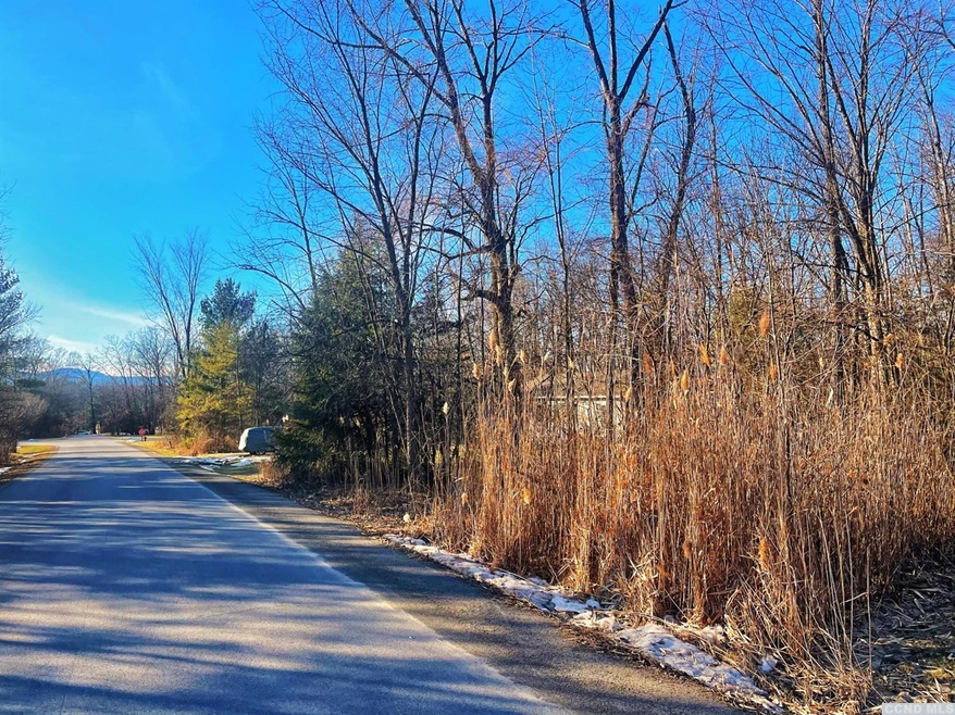 314 Tommy Trail, Coxsackie, NY 12015 - photo 1