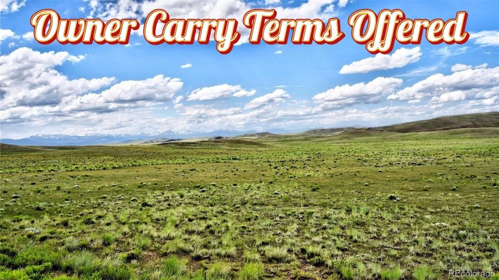 1341 Xtha Trail, Hartsel, CO 80449 - photo 1