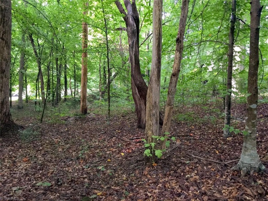 428 Westchester Rd, Statesville, NC 28625 - photo 1