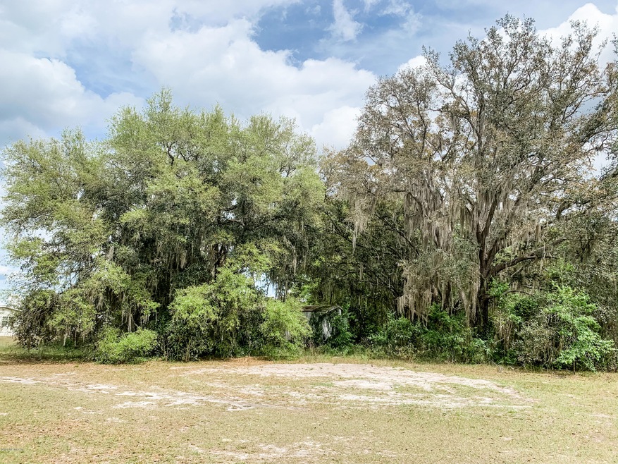 Wide view of double lot