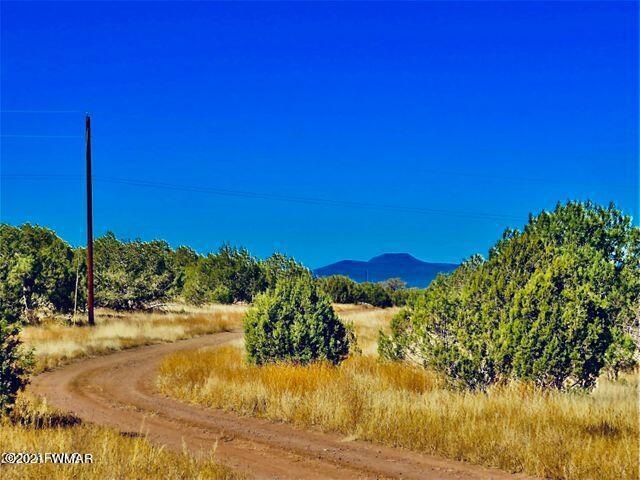 2653 Denny Dr, Ash Fork, AZ 86320 - photo 1