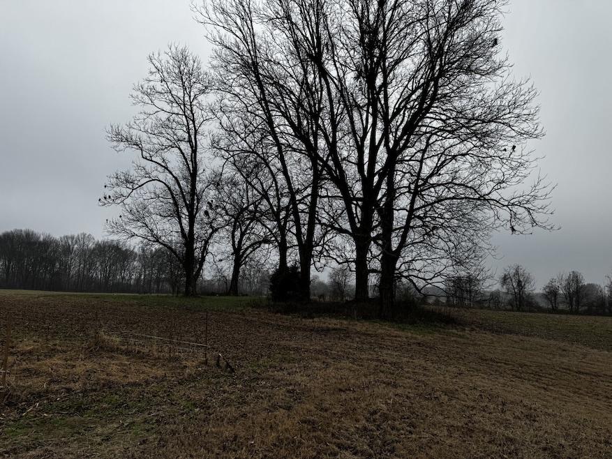 0 Lightfoot Luckett Rd, Ripley, TN 38063 - photo 1