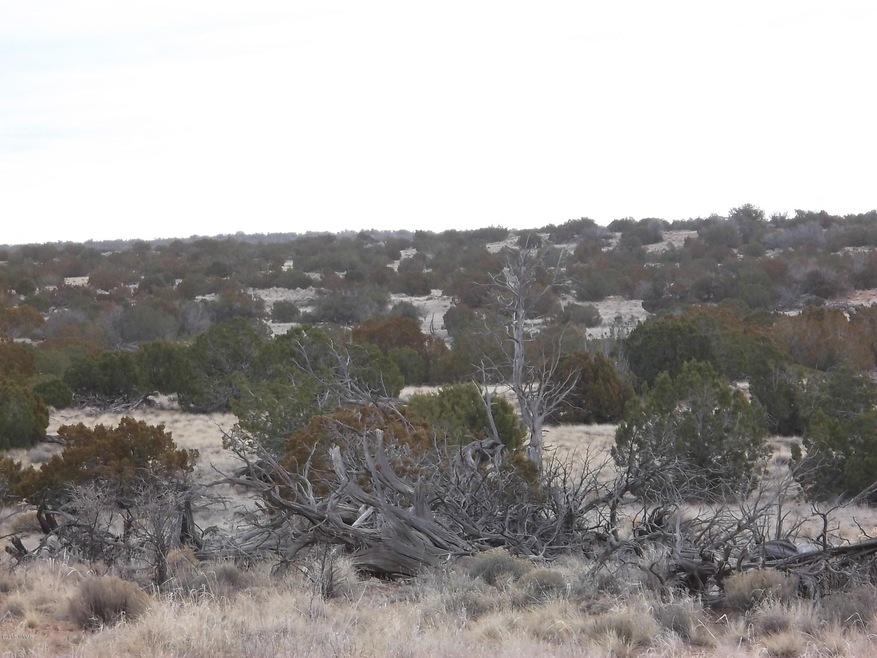 view of Subject from rd