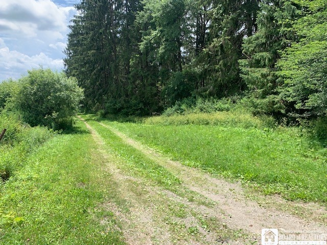 905 Waterman Rd, Kennedy, NY 14747 - photo 1