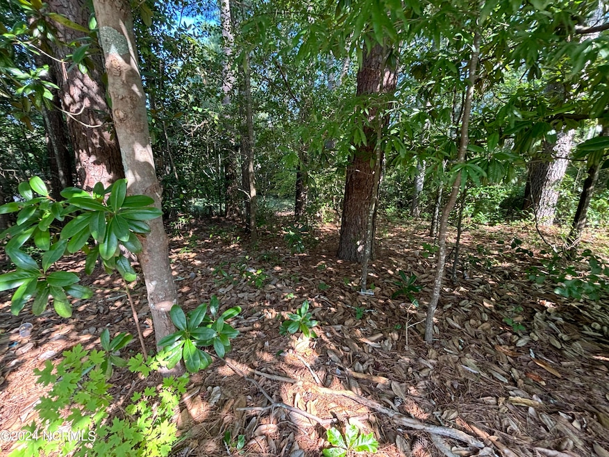 102 W Liberty St, Williamston, NC 27892 - photo 1