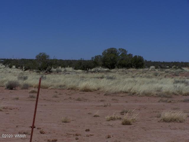 NUTT LANE
