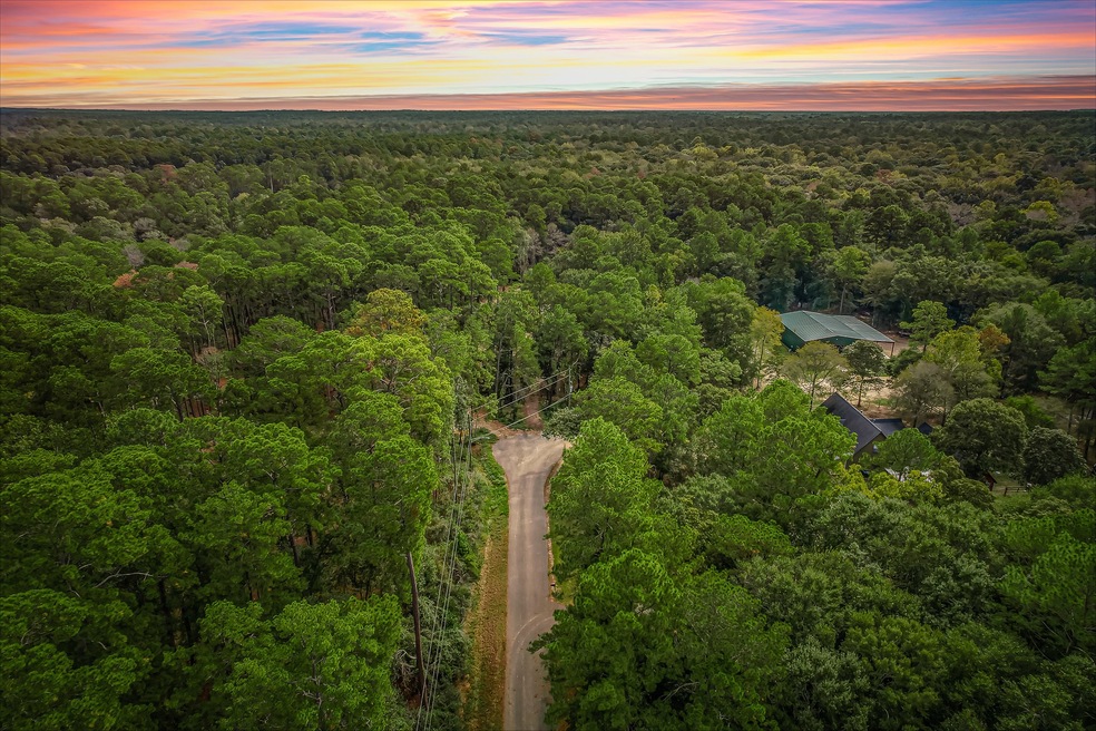 21701 Dan Dr, Magnolia, TX 77355 - photo 1